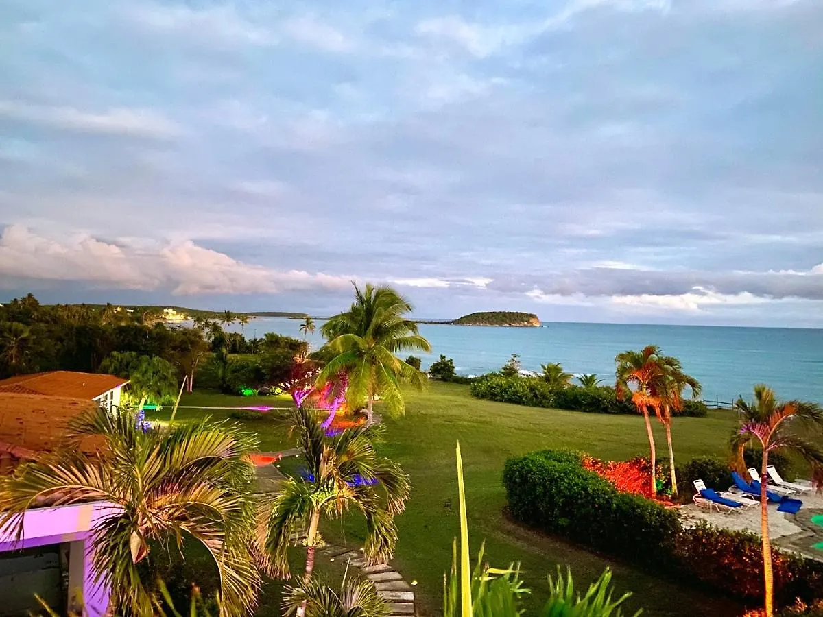 Blue Horizon Boutique Resort (Adults Only) Vieques Puerto Rico